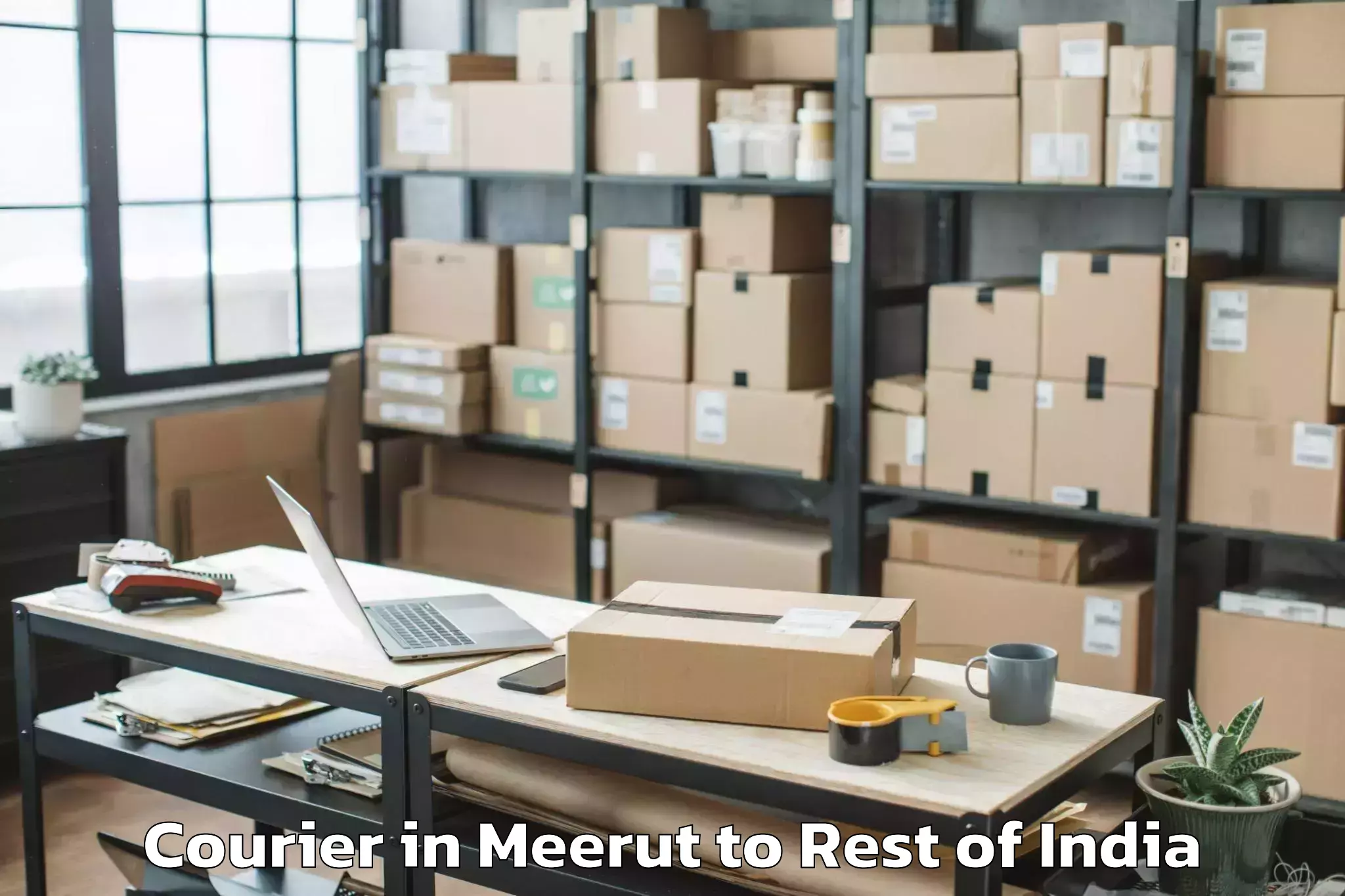 Leading Meerut to Bameng Courier Provider